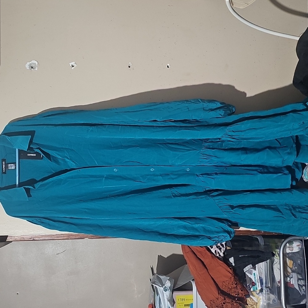 Express Blue Dress Size L